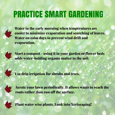 true-north-comfort-smart-gardening
